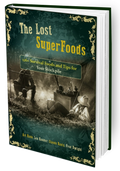 The Lost SuperFoods Book – Printed Edition