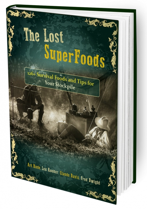 The Lost SuperFoods Book – Printed Edition